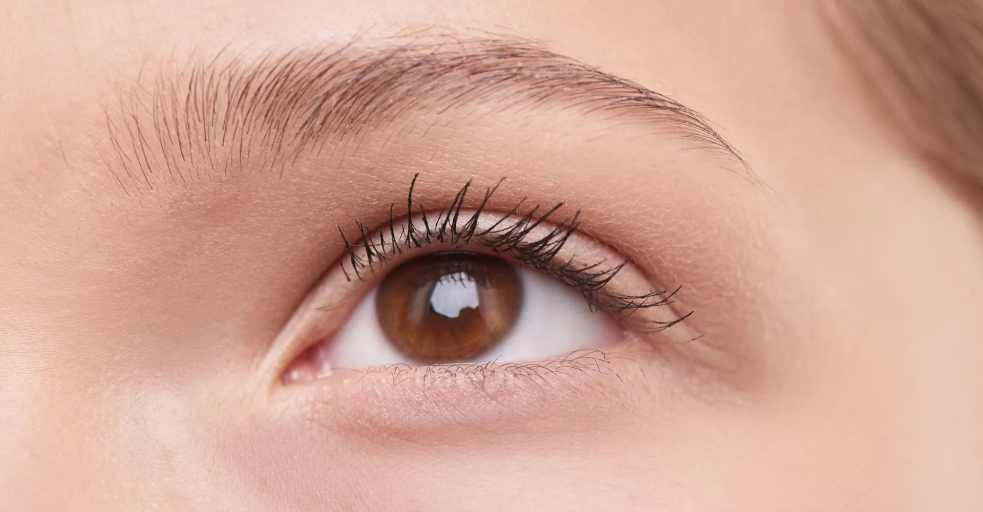 Gros plan sur un œil et un sourcil